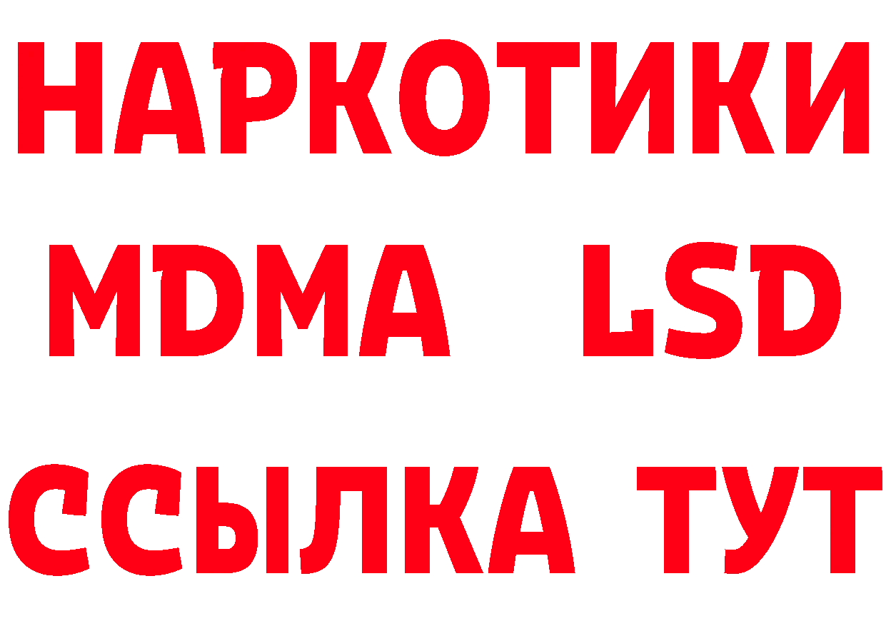 Бутират буратино вход это OMG Александров